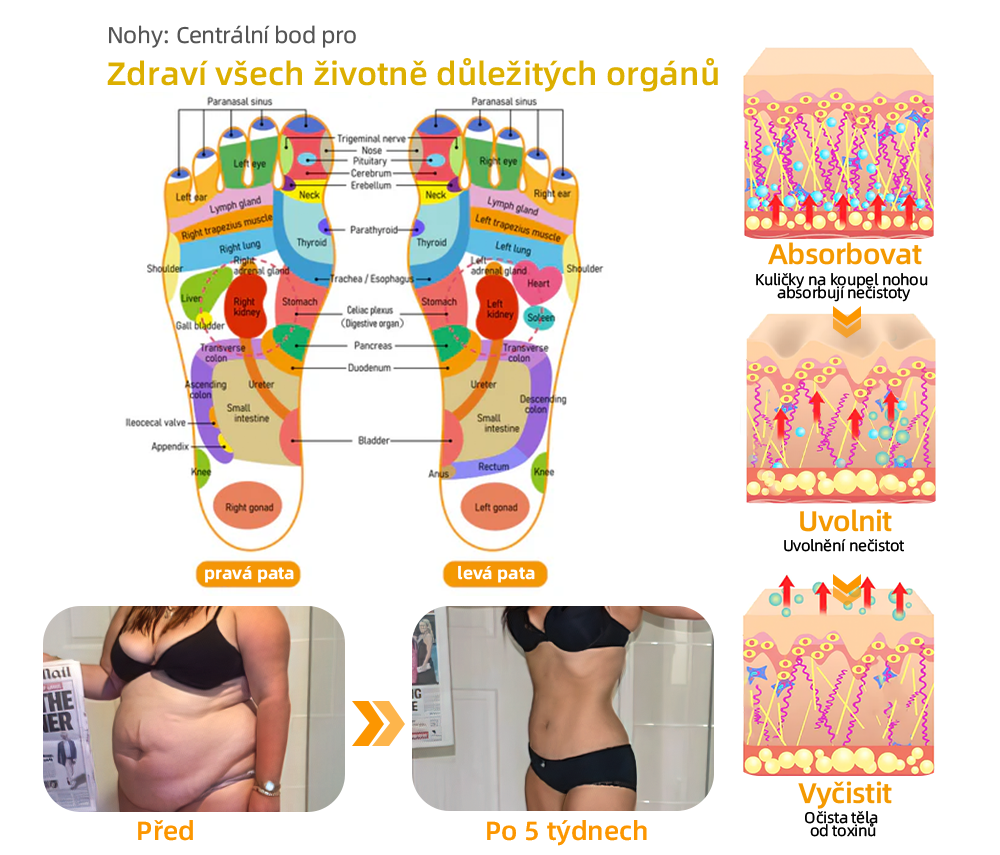 🔥💫 Poslední den na získání slevy 70 %: Aeehfeng® Včelí jed a 30 bylinek pro detoxikaci nohou a korálky pro tvarování těla - ✨Doporučeno Evropskou lymfatickou asociací (ELF) ✨🧀